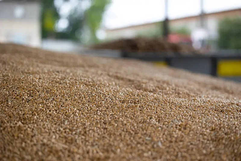 Building Materials & Grain Industry