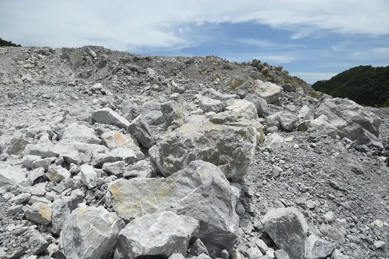 Cement & Building Materials Processing