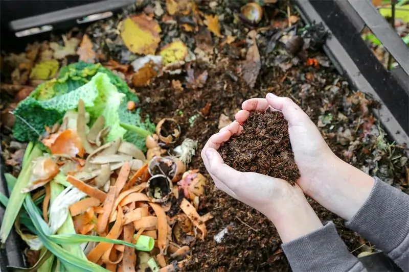 Compost organic