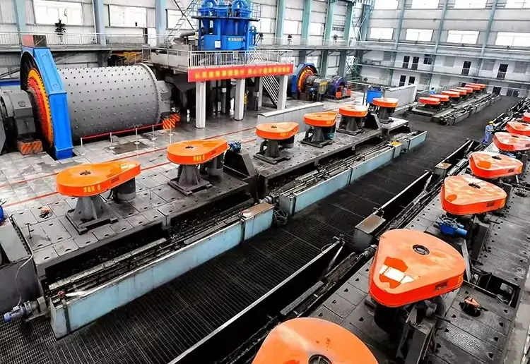 Gold Ore Flotation