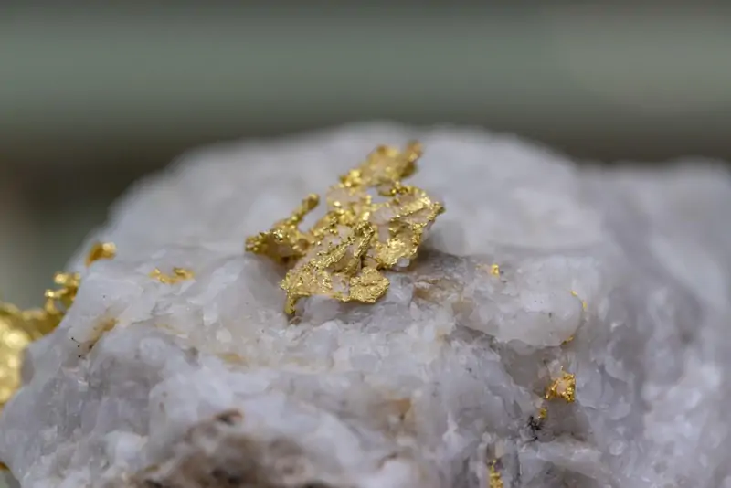 Gold Ore Processing