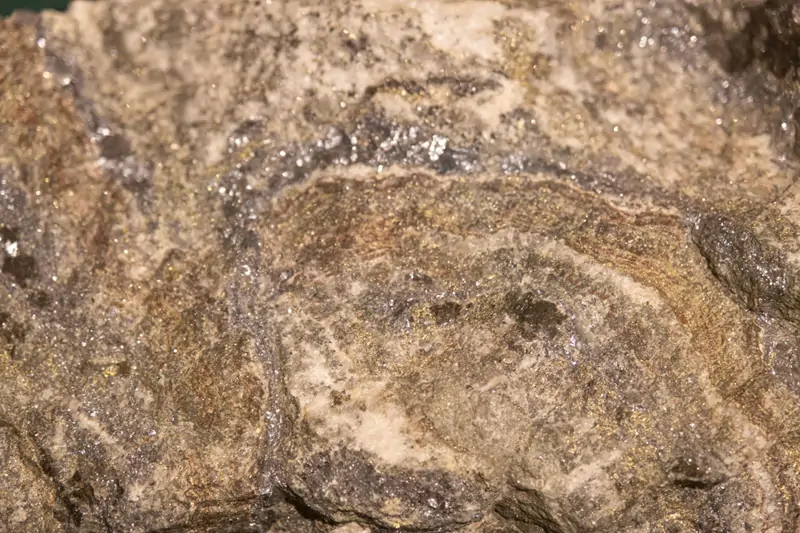 Lead-Zinc Ore Processing