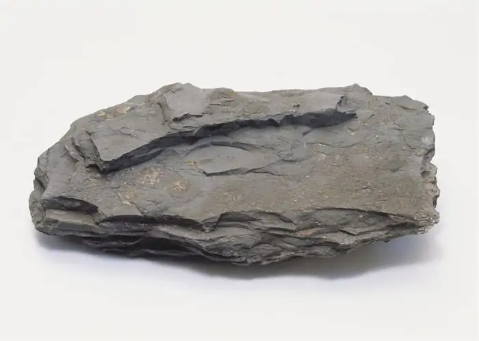 Shale
