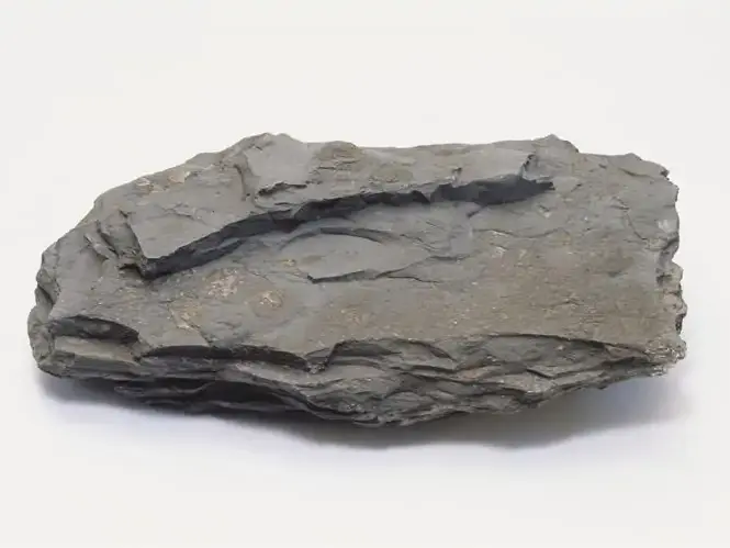 Shale